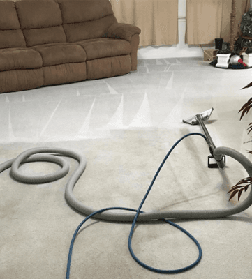 Pet Odor Removal for Carpets