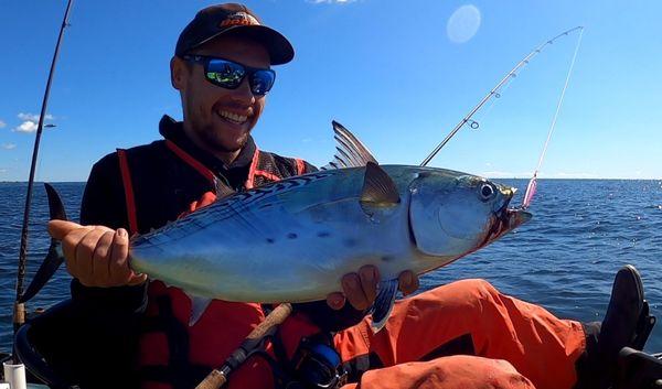 Happy client with his first false albacore!