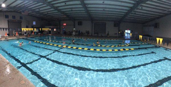 Halloween's Spooky practice and dive in movie...so much fun!