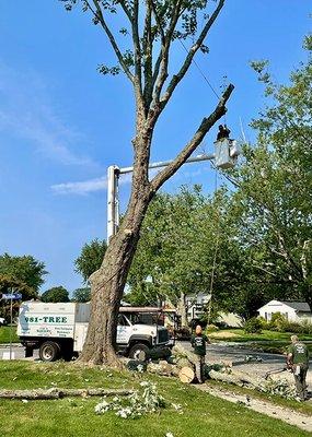 24 Hour Emergency 
Tree & Stump Removal
Stump Grinding
Tree Debris Removal
Tree Pruning & Topping