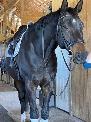 Victory Stables Equestrian Academy