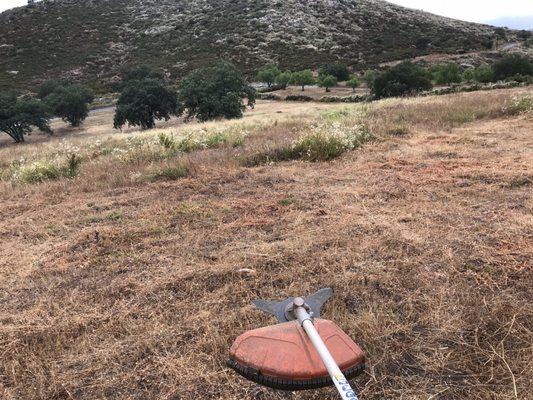 Stihl with blade attachment in her element