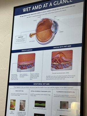 One of the many charts about conditions diagnosed and treated