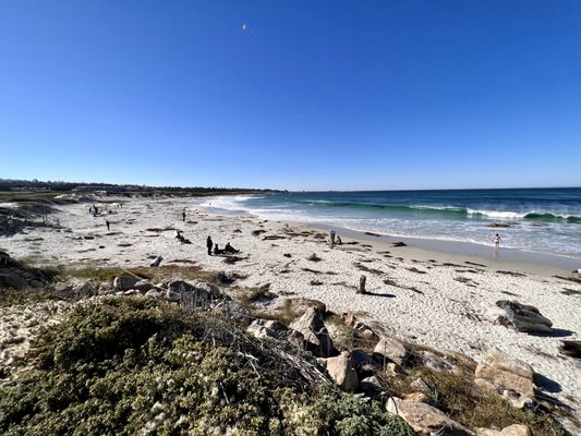 The Asilomar Beach is perfect for family picnic and surfers alike.