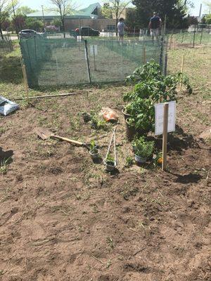 The community center offers garden plots to be rented!