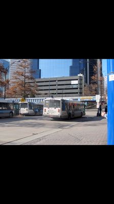 Charlotte CATS 2000 Novabus LFS #862 (photo credit to Montigue Magruder, 2011)