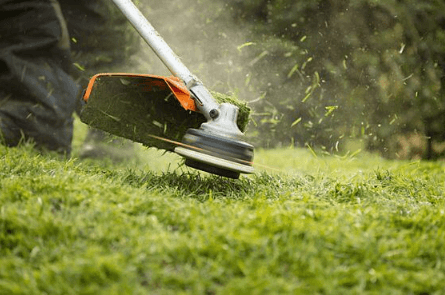 Weed Trimming