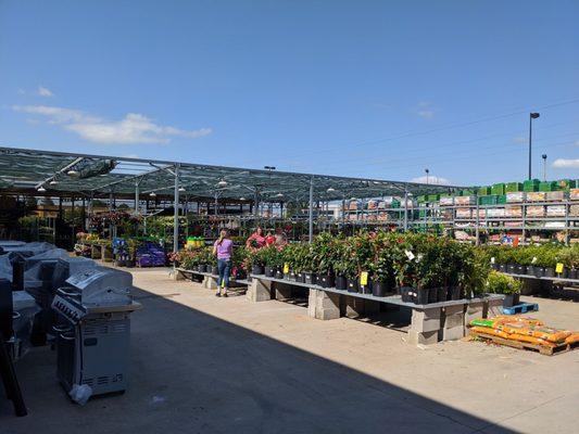 Garden center