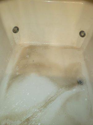 This is " clean" I filled tub with water then drained.. nothing was bathed in it