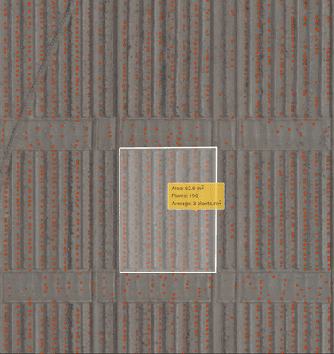 Full detail of our plant counting example. Boundaries can show the exact count of plants within a given area.