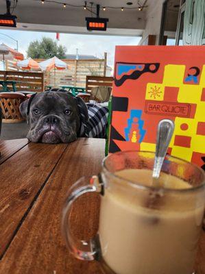 Public Restaurants and Bars/Breweries w/Kaipo [7mos American Bully]