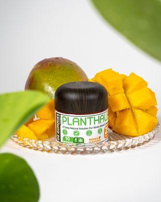 Content for Planthaus Boutique - Sonar Marketing Group's Latest Wellness Client. Located in Coconut Grove, Miami