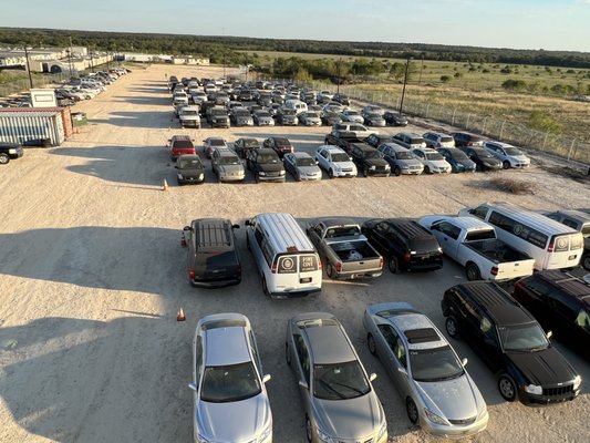 Metro Auto Auction