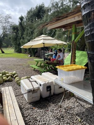 Cutting our coconut