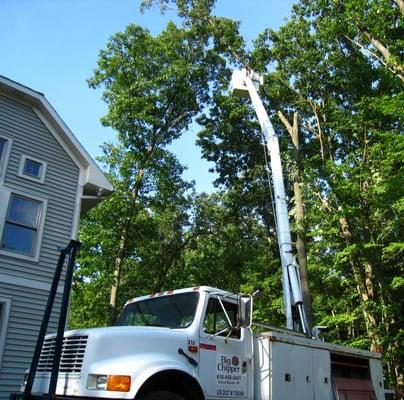 Taking Down Trees With The Big Chipper Bucket Truck