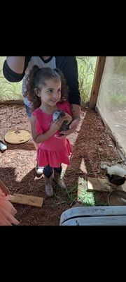 My daughter holding a chicken