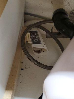 Roaches, roaches and more roaches and let's not forget the mold and paint peeling in the kitchen sink.