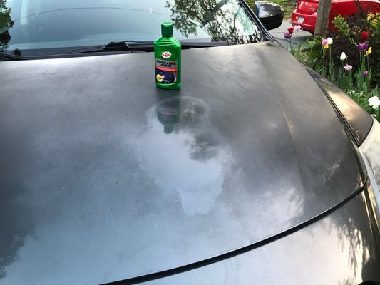 Fixing the hood with a bottle of Turtle Wax