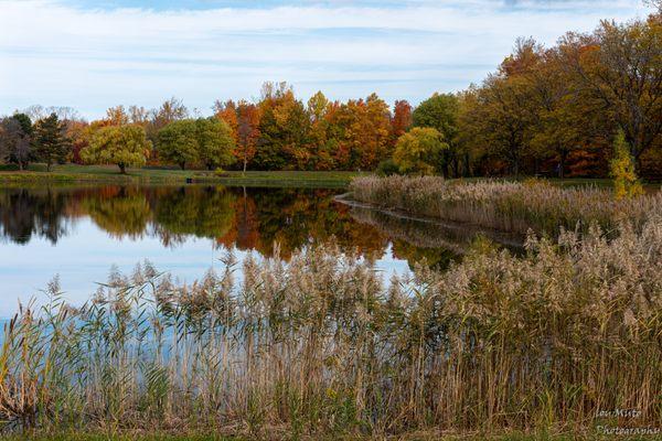 Fall day reflections on the Pond