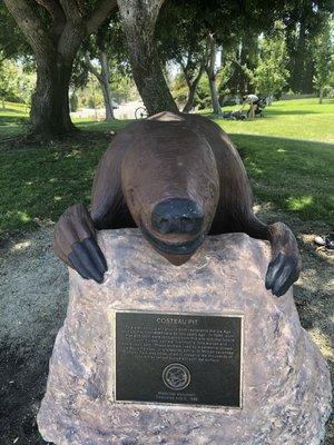 Sloth & history of the park.