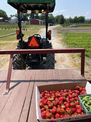 Tractor ride!