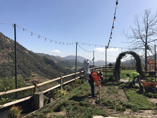 Turf removal in beautiful Malibu! The views were stunning!