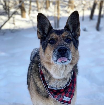 Snow Day Play