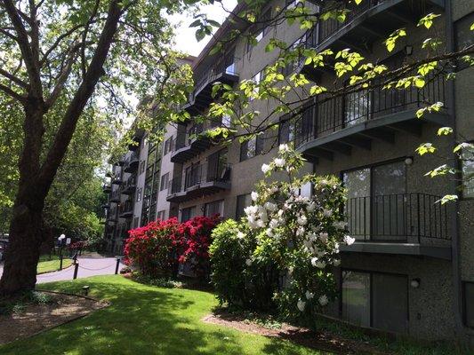 Park Plaza Apartments in downtown Corvallis