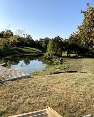 Land clearing done for our client after sod installation.