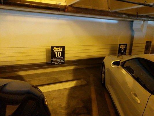 Ten spots to find Hertz cars on 6th floor of garage.