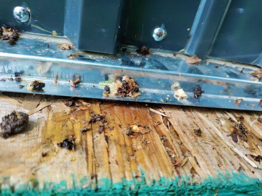 The gap along the bottom the floor should not hang over the shed. The shed should hang over the floor so water doesn't drain in.