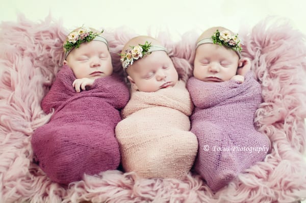 Photo taken while assisting with another photographer. Newborn triplet session.