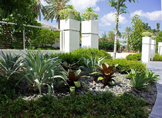 Front yard bromeliads garden