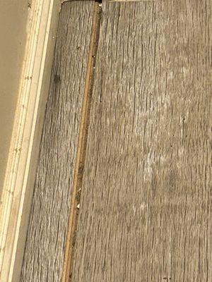 Flooring separating from being cut too short. (Separation looks bigger in person) pic 2