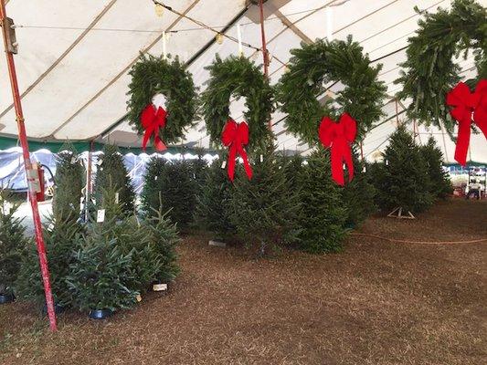 Fresh wreaths and small Christmas Trees