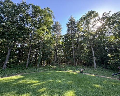 Trimming 12 pines 75Ft high before.