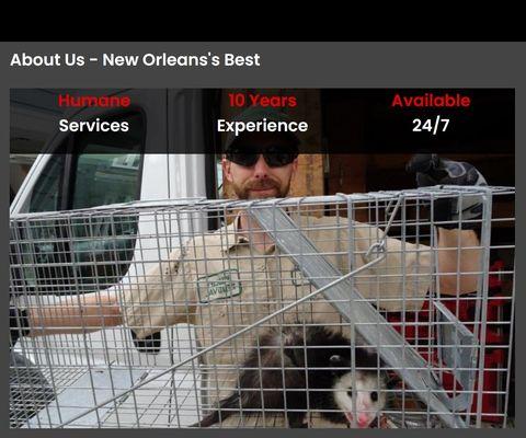 New Orleans Animal Exterminator