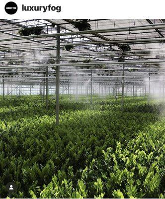 Greenhouse Humidity and Cooling by Luxury Fog....