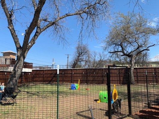 wide open space for dogs to play