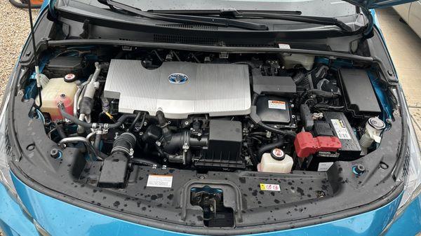 Engine Bay Detail