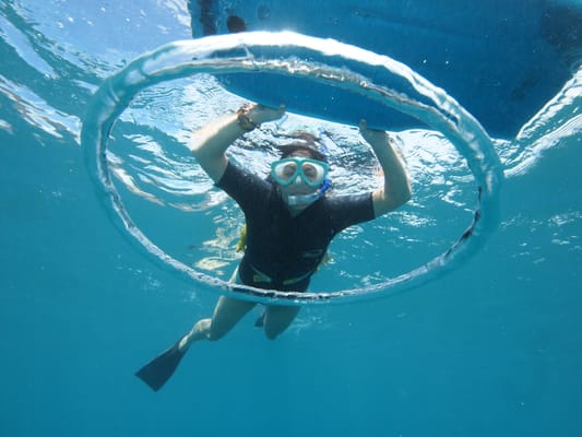 Snorkel in Maui