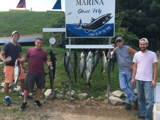 Salmon. Olcott, NY