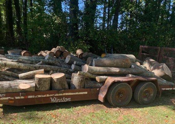 removing downed trees in atlanta, ga