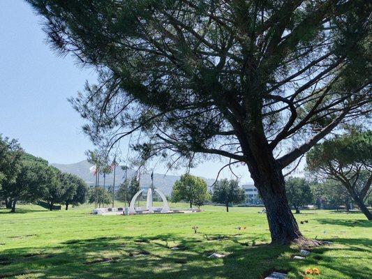 Distance view of the flags & rose bushes, flat military gravestones