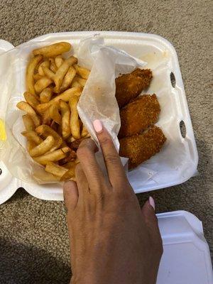 Chi 4 Chicken Tenders with fries