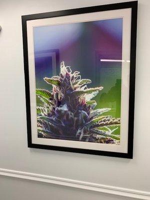 Cannabis Artwork