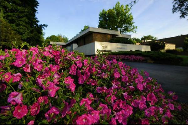 Our office is next door to the Stow Library.