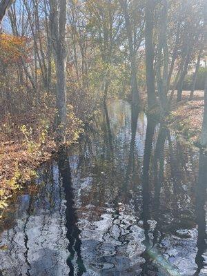 Annaquatucket River exiting Bellevue Pond