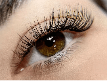 Lash Tech Specialist
 Eyelashes