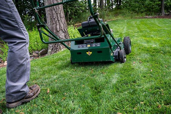 Lawn Aerating